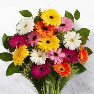 Gerbera Bunch (Mixed)