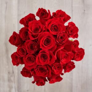 Red Roses Bunch