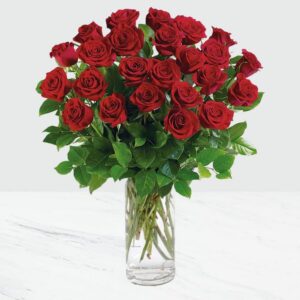 Red Roses in Vase
