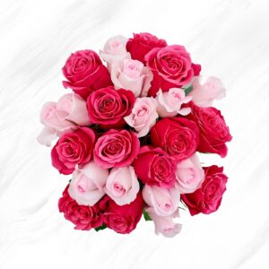 Red and Pink Roses Bunch