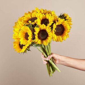Sunflower Bunch