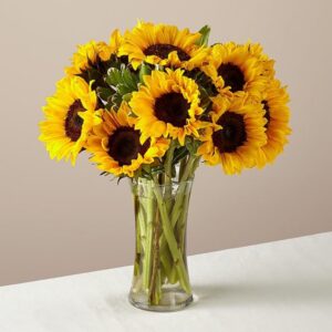 Sunflowers in Vase