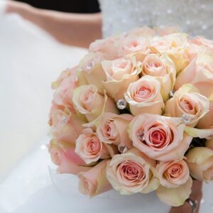 Radiant Roses
